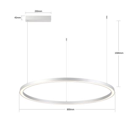BRILAGI - LED люстра з регулюванням яскравості на тросі PORTOFINO LED/60W/230V 3000-6000K діам. 80 cm срібляста + дистанційне керування