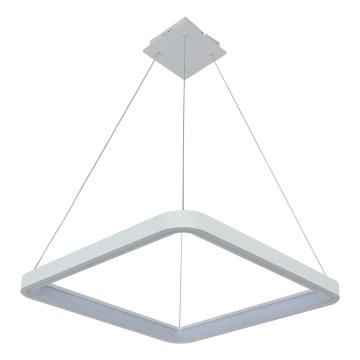 Brilagi - LED затемнювана підвісна люстра на тросі FALCON SLIM LED/50W/230V 3000-6500K 50x50 cm біла + пульт дистанційного керування