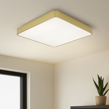 BRILAGI - LED димований стельовий світильник POOL SQUARE LED/48W/230V 3000-6000K 50x50 cm золотистий + пульт дистанційного керування