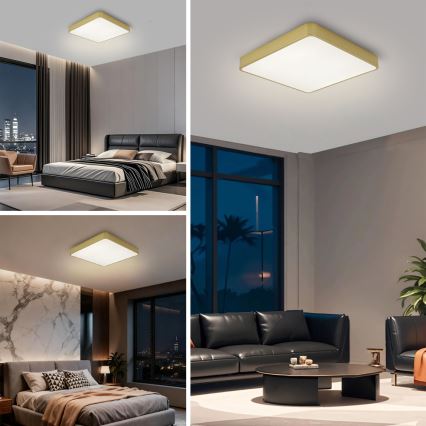 BRILAGI - LED димований стельовий світильник POOL SQUARE LED/48W/230V 3000-6000K 50x50 cm золотистий + пульт дистанційного керування