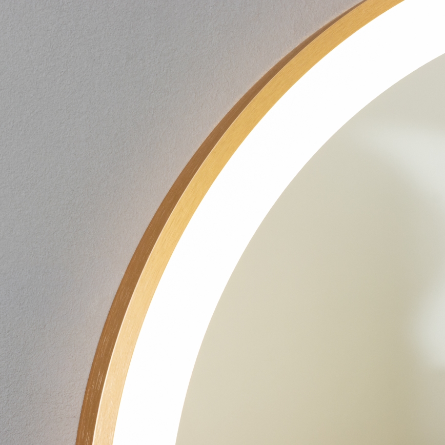 BRILAGI - LED Зеркало для ванной ERBA LED/25W/230V 50x80 см золотое IP44 CRI 90 диммируемое + CCT