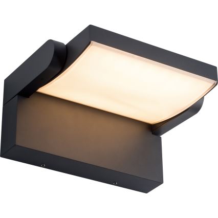BRILAGI - LED зовнішній настінний світильник ANKLE LED/12W/230V IP65 чорний