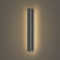 Brilagi - LED зовнішній настінний світильник LINEAR LED/12W/230V 3000K IP65 50 см антрацит