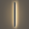 Брілагі - LED зовнішній настінний світильник LINEAR LED/22Вт/230В 3000К IP65 100 см антрацит