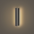 Brilagi - LED зовнішній настінний світильник LINEAR LED/8W/230V 3000K IP65 30 cm антрацит
