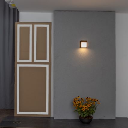 BRILAGI - LED зовнішній настінний світильник TERNI LED/12W/230V коричневий IP44