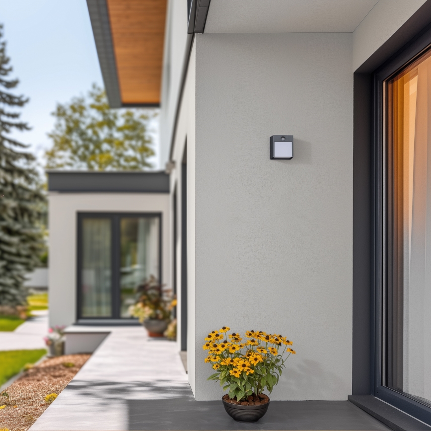 Brilagi - LED зовнішній настінний світильник з датчиком TERNI LED/12W/230V антрацит IP44