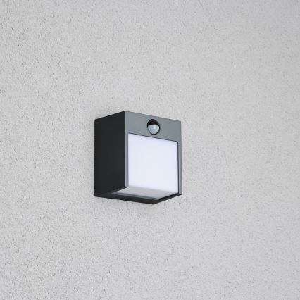 Brilagi - LED зовнішній настінний світильник з датчиком TERNI LED/12W/230V антрацит IP44