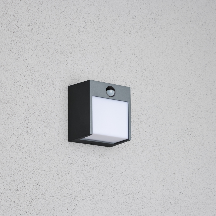 Brilagi - LED зовнішній настінний світильник з датчиком TERNI LED/12W/230V антрацит IP44