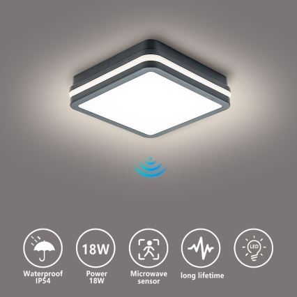 Brilagi - Зовнішній світильник LED із датчиком BENE LED/18W/230V 22x22 cm антрацит IP54
