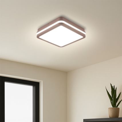 Brilagi - LED зовнішній стельовий світильник з датчиком BENE LED/18W/230V 21,5x21,5 см коричневий IP54