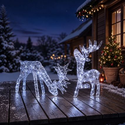 BRILAGI - LED зовнішня різдвяна прикраса LED/3,3W/230V IP44 60x37 cm олень