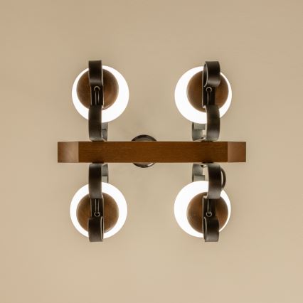 Brilagi - Люстра на цепи QUEEN 4xE14/40W/230V бук/орех