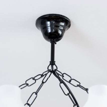 Brilagi - Люстра на цепи QUEEN 8xE14/40W/230V бук/орех