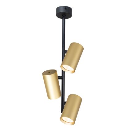 Brilagi - Люстра на штанге SELE VERTICAL 3xGU10/30W/230V черный/золотистый