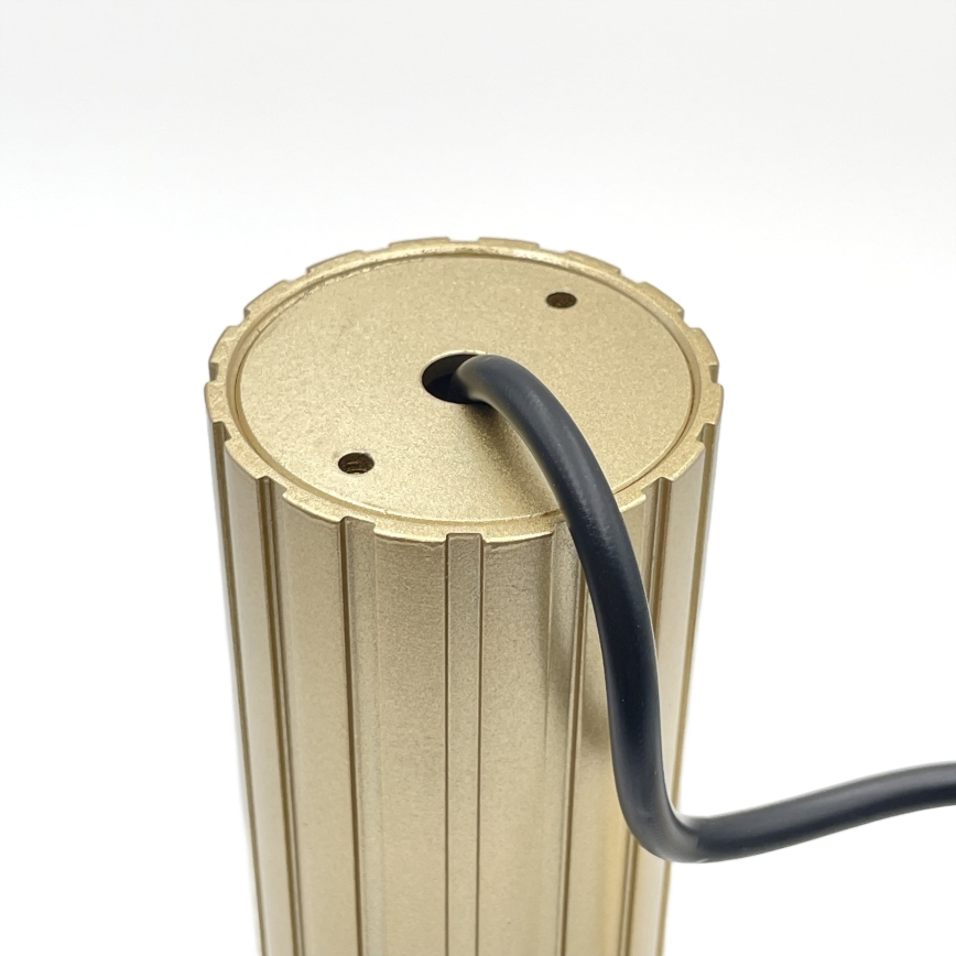 Brilagi - Люстра на тросе CRISPINA 1xGU10/10W/230V золотая