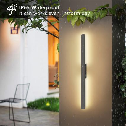 Brilagi - светодиодный уличный настенный светильник LUNA LED/24 Вт/230 В 3000K IP65 100 см антрацит