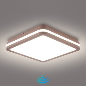 Brilagi - наружный потолочный светильник LED с датчиком BENE, 24 Вт, 230 В, 26x26 см, коричневый, IP54