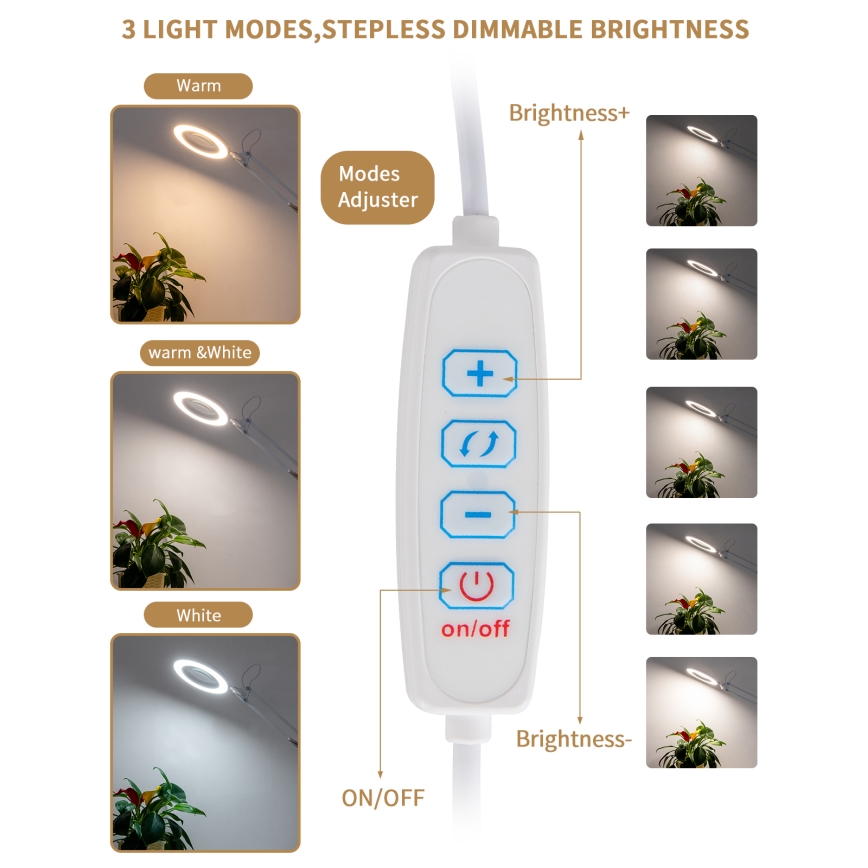 Brilagi - Настільна LED лампа з регулюванням яскравості та із лупою LENS LED/12W/5V 3000/4200/6000K білий