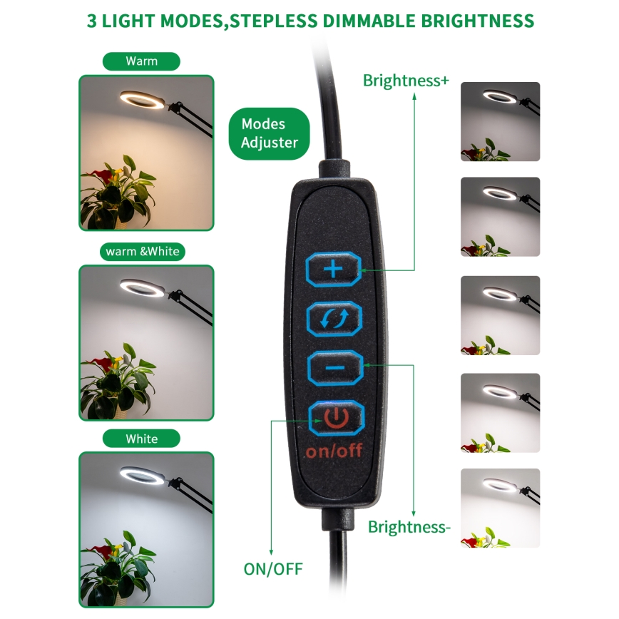 Brilagi - Настільна LED лампа з регулюванням яскравості та із лупою LENS LED/12W/5V 3000/4200/6000K чорний