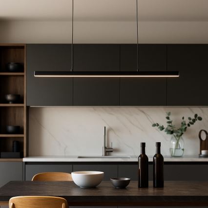 BRILAGI - підвісна LED-люстра на тросі PAXIS LED/30W/230V 120 cm чорна