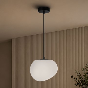 BRILAGI - Подвесная люстра на тросе PEBBLES 1xE27/40W/230V Ø 20 см, черная