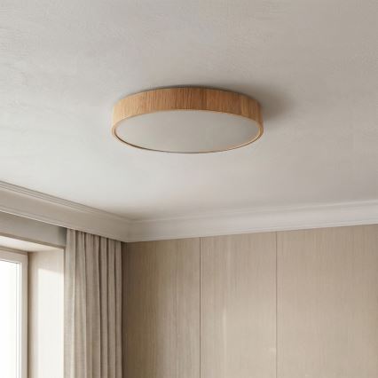 Brilagi — диммируемый потолочный светильник POOL LED/36W/230V 3000–6000K, диаметр 30 см, декор под дерево, с пультом дистанционного управления