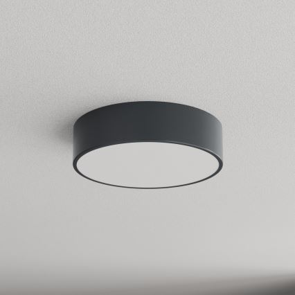 Brilagi - Потолочный светильник для ванной комнаты CLARE 2xE27/24W/230V Ø 30 см антрацит IP54