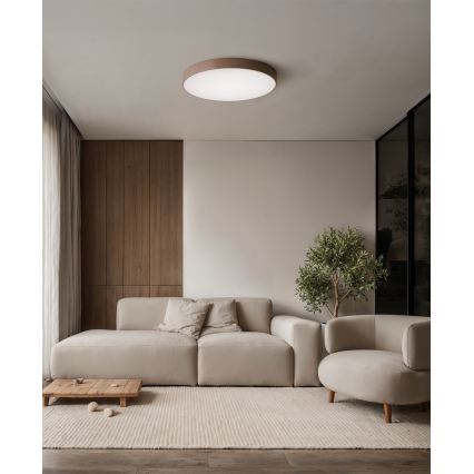 Brilagi - Потолочный светильник для ванной CLARE 4xE27/24W/230V Ø 50 см IP54 коричневый