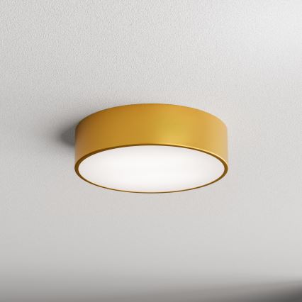 Brilagi - Потолочный светильник для ванной комнаты CLARE 2xE27/24W/230V диаметр 30 см IP54 золотистый