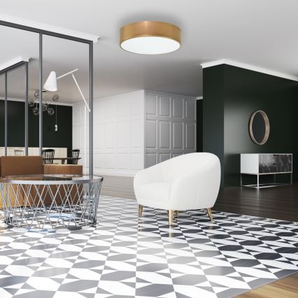 Brilagi - Потолочный светильник для ванной комнаты CLARE 2xE27/24W/230V диаметр 40 см IP54 золотистый