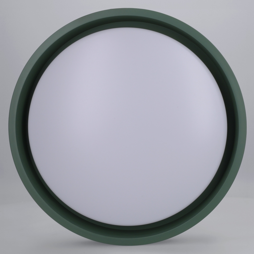 Brilagi - Потолочный светильник LED MATTEO LED/24W/230V Ø 31 см зеленый