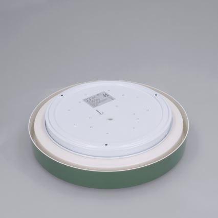 Brilagi - Потолочный светильник LED MATTEO LED/24W/230V Ø 31 см зеленый