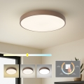 Brilagi - потолочный светильник LED POOL, 60 Вт/230 В, 3000/4000/6000 К, диаметр 50 см, коричневый
