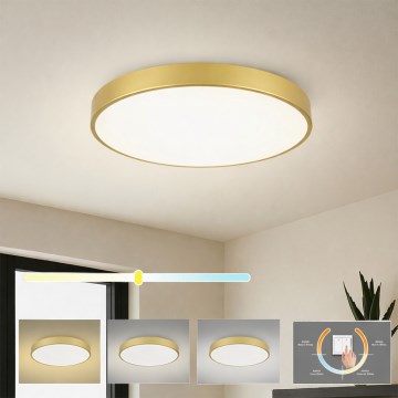 Brilagi - потолочный светильник POOL LED 60 Вт/230 В, 3000/4500/6000K, диаметр 60 см, золотой
