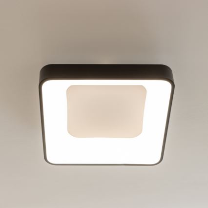 Brilagi - диммируемый LED потолочный светильник FALCON II LED/80W/230V 3000-6500K 40x40 cm чёрный + пульт дистанционного управления