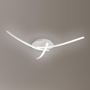 Brilagi - потолочный светильник STRIPES LED/24 Вт/230 В Ø 64 см белый