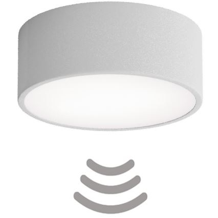 Brilagi - Потолочный светильник с датчиком CLARE 1xE27/24W/230V диаметр 20 см серый