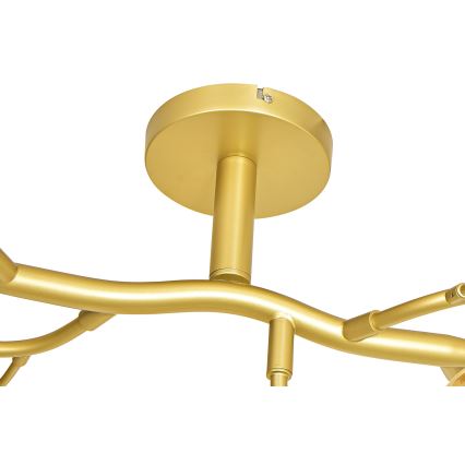 Brilagi - Пристельова LED люстра MISTEL 15xG9/3W/230V золотий