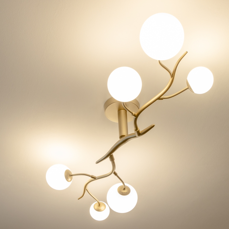 Brilagi - Пристельова LED люстра MISTEL 6xG9/3W/230V золотий/білий