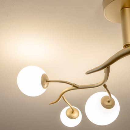 Brilagi - Пристельова LED люстра MISTEL 6xG9/3W/230V золотий/білий