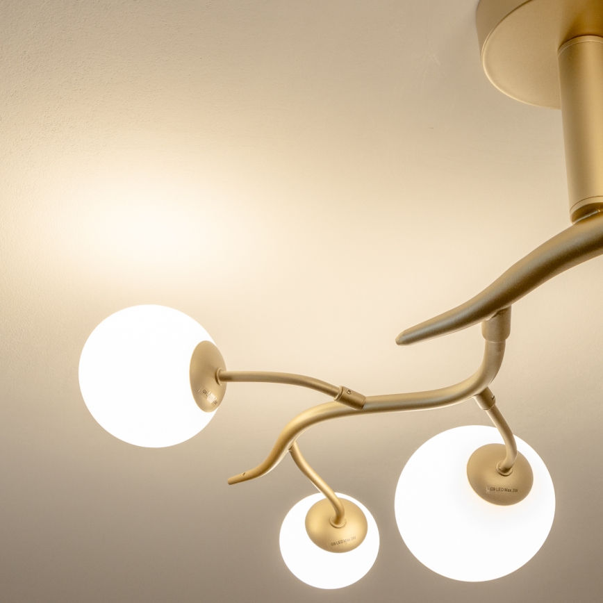 Brilagi - Пристельова LED люстра MISTEL 6xG9/3W/230V золотий/білий