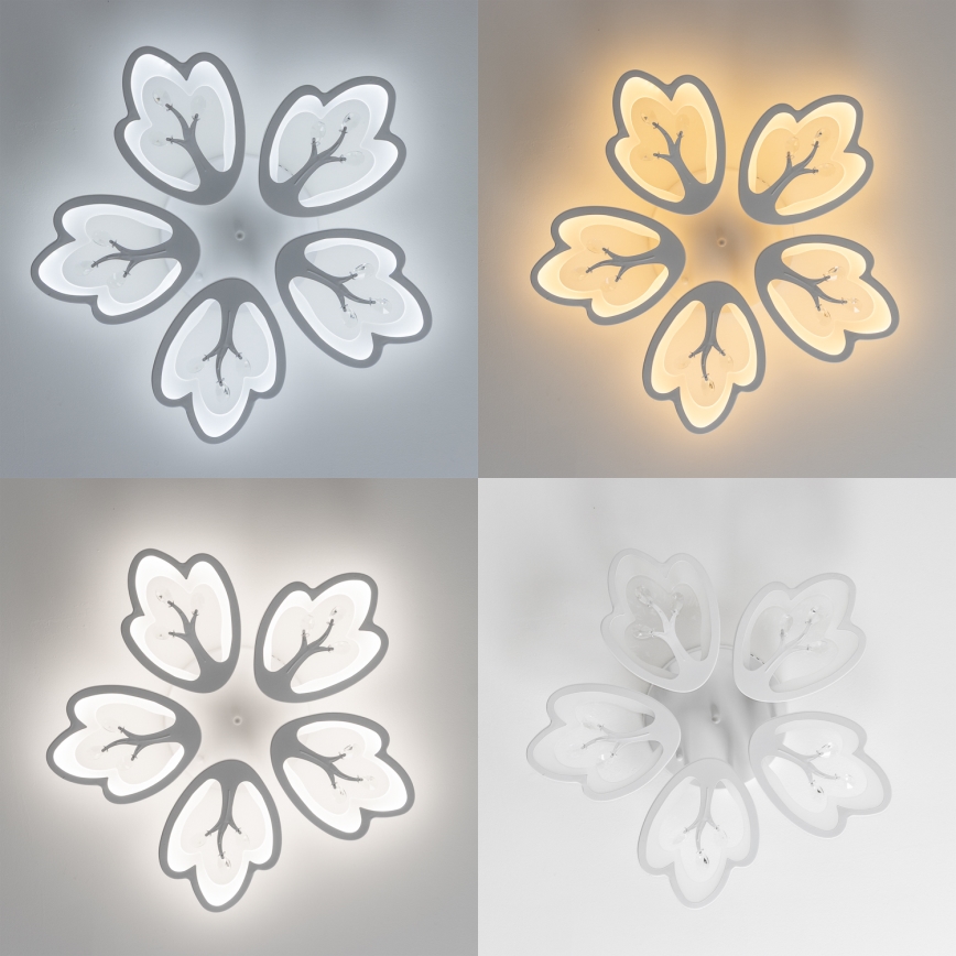 Brilagi - Пристельова LED люстра з регулюванням яскравості TWIST LED/80W/230V 3000-6500K білий + пульт дистанційного керування