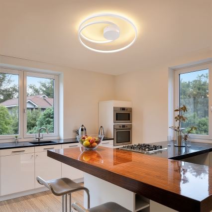 Brilagi - затемнюваний стельовий світильник TWISTER LED/48W/230V 3000-6000K Ø 50 см, білий + пульт дистанційного керування