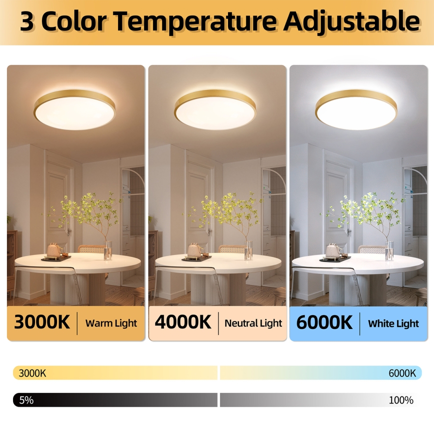 Brilagi - LED стельний світильник з регулюванням яскравості GLASS POOL DOUBLE LED/80W/230V 3000-6000K 60 cm золота + пульт дистанційного керування