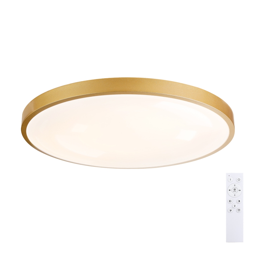 Brilagi - LED стельний світильник з регулюванням яскравості GLASS POOL DOUBLE LED/80W/230V 3000-6000K 60 cm золота + пульт дистанційного керування