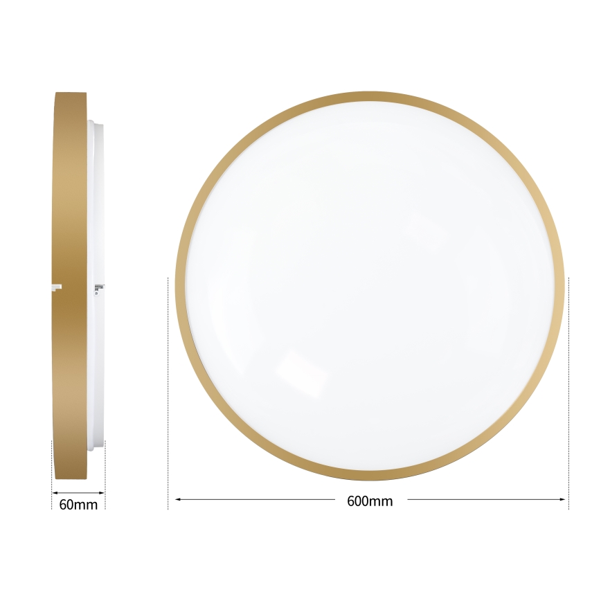 Brilagi - LED стельний світильник з регулюванням яскравості GLASS POOL DOUBLE LED/80W/230V 3000-6000K 60 cm золота + пульт дистанційного керування