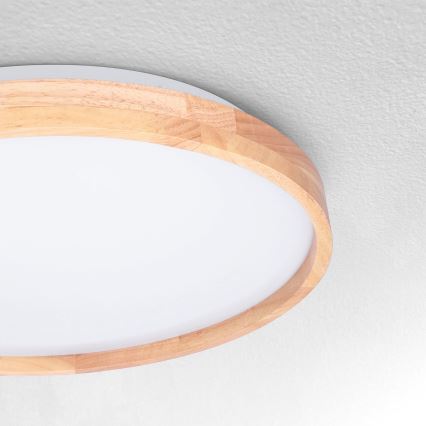 Brilagi - Стельовий LED світильник ALSON LED/24W/230V дуб