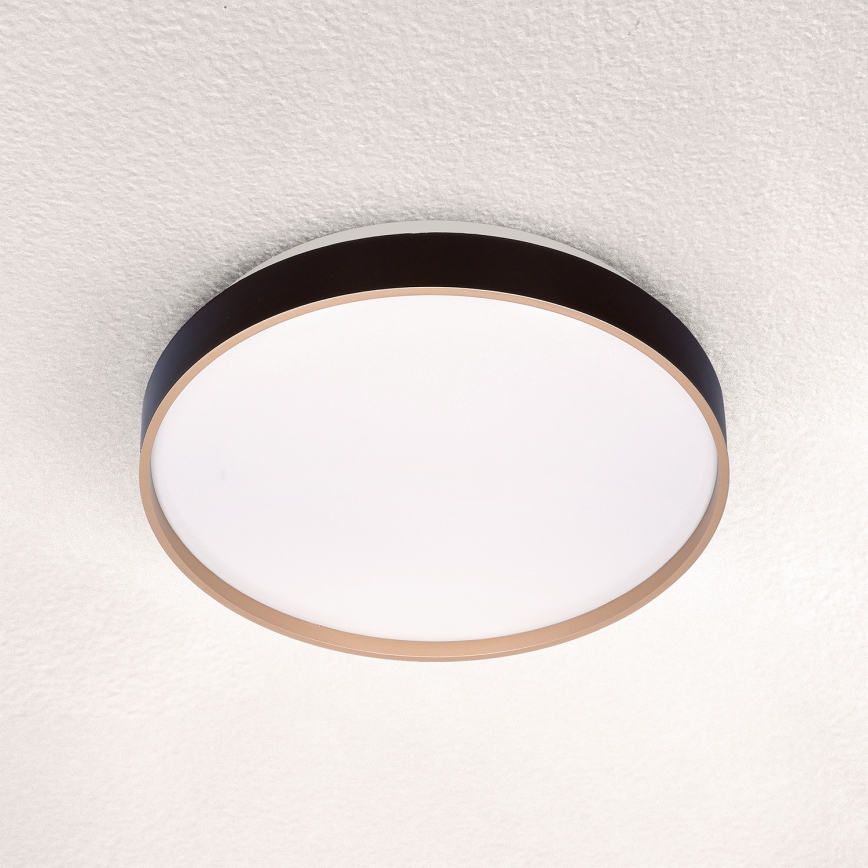 Brilagi - Стельовий LED світильник CALA LED/24W/230V