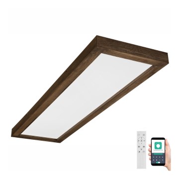 Brilagi - Стельовий LED світильник для ванної з регулюванням яскравості WOODY FRAME LED/50W/230V дуб 120x30 см 3000-6000K IP44 + пульт дистанційного керування